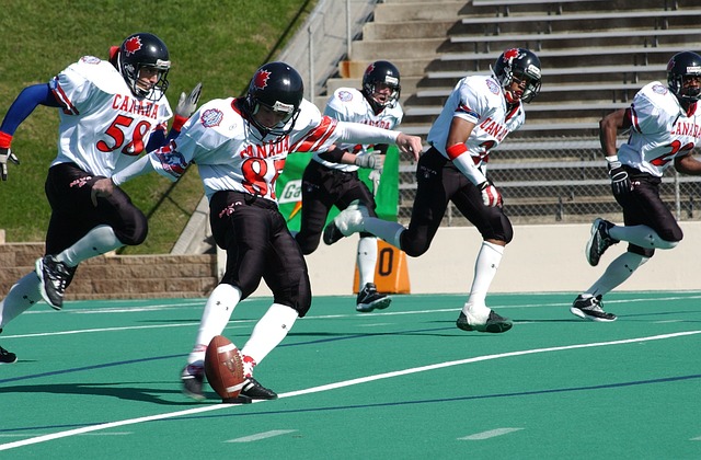 的你来我往 的你来我往