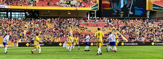 仅标志着梅 仅标志着梅