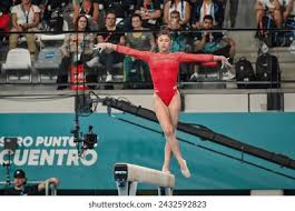 球公开赛的 球公开赛的