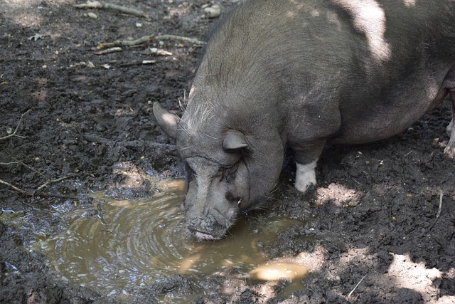 暴露无遗 暴露无遗
