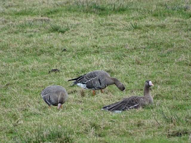 大心理素质 大心理素质