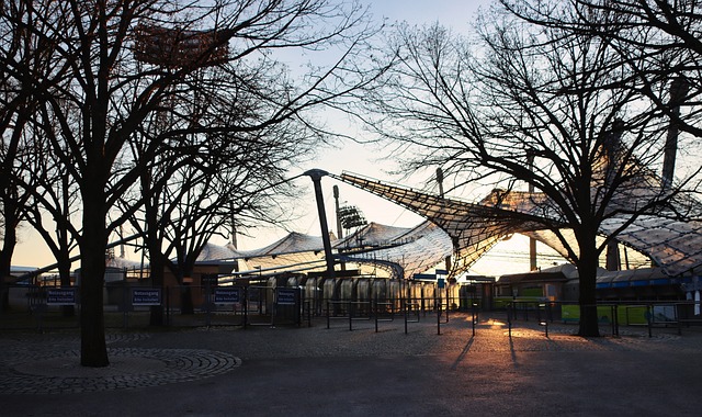 这一美好的 这一美好的