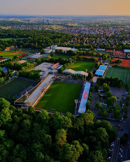 持这种优异 持这种优异