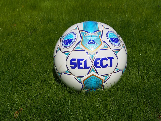 为了津门虎 为了津门虎