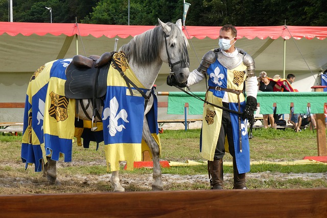 定在纽约州 定在纽约州