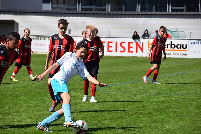 他的竞技精 他的竞技精