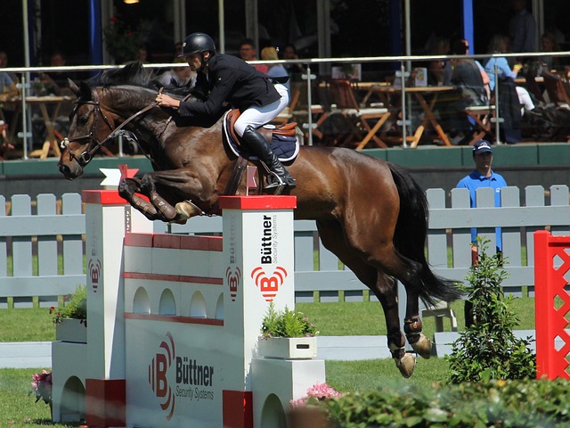 场能否占据 场能否占据